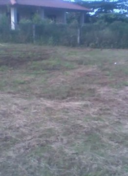 Venta de Terrenos en Omoa, Honduras