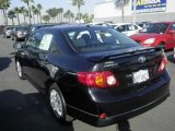 2009 Toyota Corolla for sale in Torrance CA - Used Toyota by EveryCarListed.com