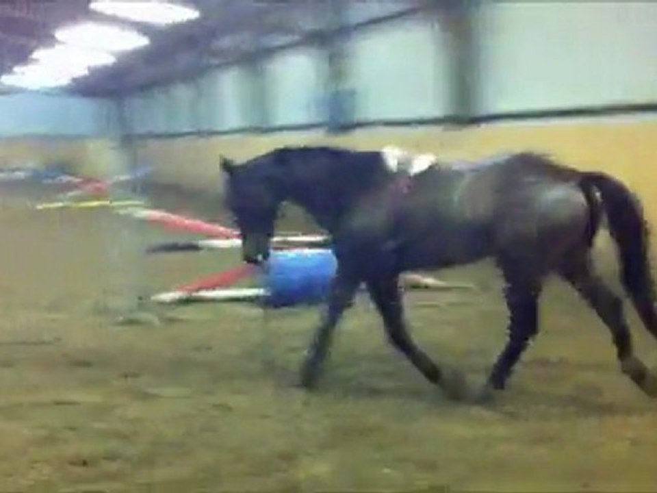 Einstein - Longe 20012012