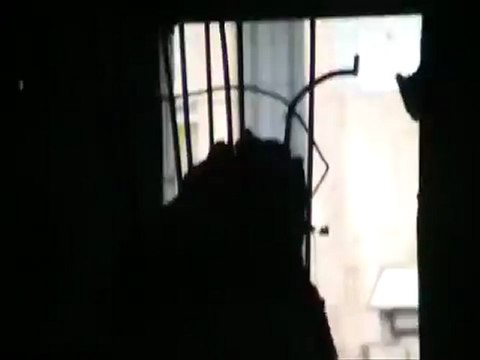 فري برس دبابات تقصف حي باباعمرو 26 12 2011