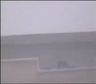 فري برس   حماة   انتشار القناصه في حماة فوق مباني الدولة 29 12 2011