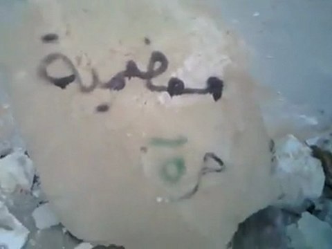 فري برس معضمية الشام كتابة عبارات واسم المجرم بشار على الارض بسواعدالأحرار 31 12 2011 ج2