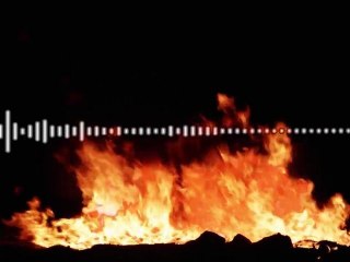 They Say I Will Be Known As A Terrorist 2012 - (Confusion)