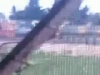 فري برس   إدلب   جبل الزاوية الدبابات في جوزف 7 1 2012