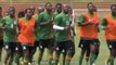 Africa Cup - Zambia und Equatorial Guinea siegen