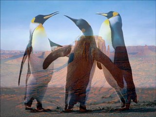 février - mars, 2008