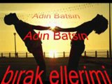 Adin Batsin