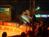 Reportgae cirque ROGER LANZAC 2009