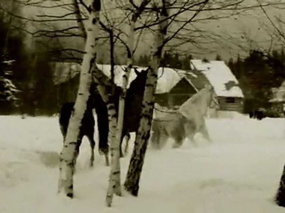 Kraina Pięknych Koni