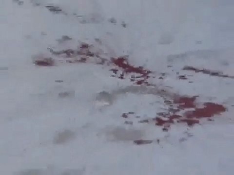 فري برس آثار دماء الجرحى الذين سقطو في المظاهرة في حمص ديربعلبة