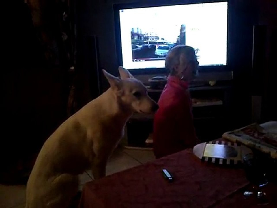Fame fait le loup !