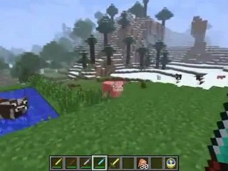 Minecraft 1.1 Smash Bat Mod Home Run!