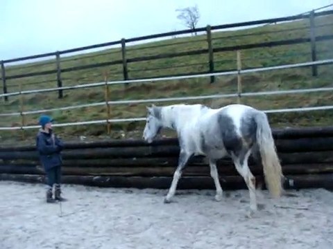 Safran: travail au sol en liberté