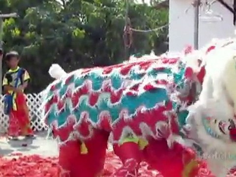 Learn About Chinese New Year: Rituals, Food, Family