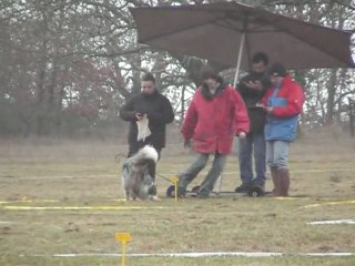 deiwel cavage la rosiere