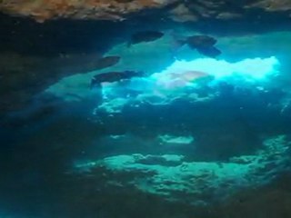 Plongée à Ténérife janvier 2012 : Neptune's cave