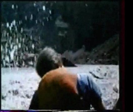 Eaux sauvages (1978) - J'en ai pris plein la poire .