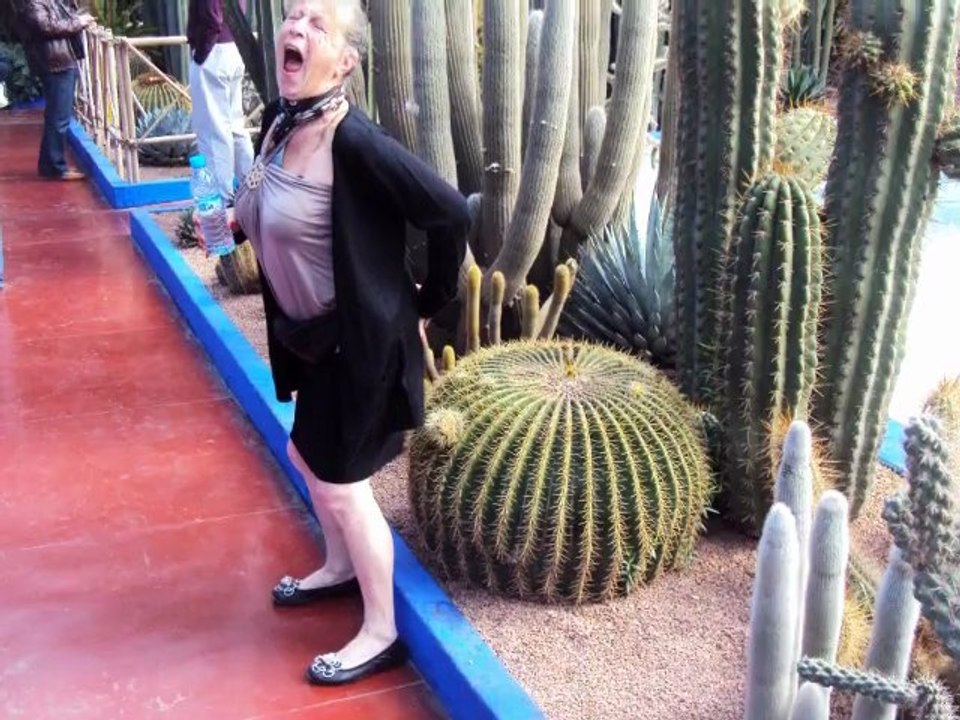 jardin Majorelle