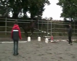 Alibi de Kervel (janvier 2012)