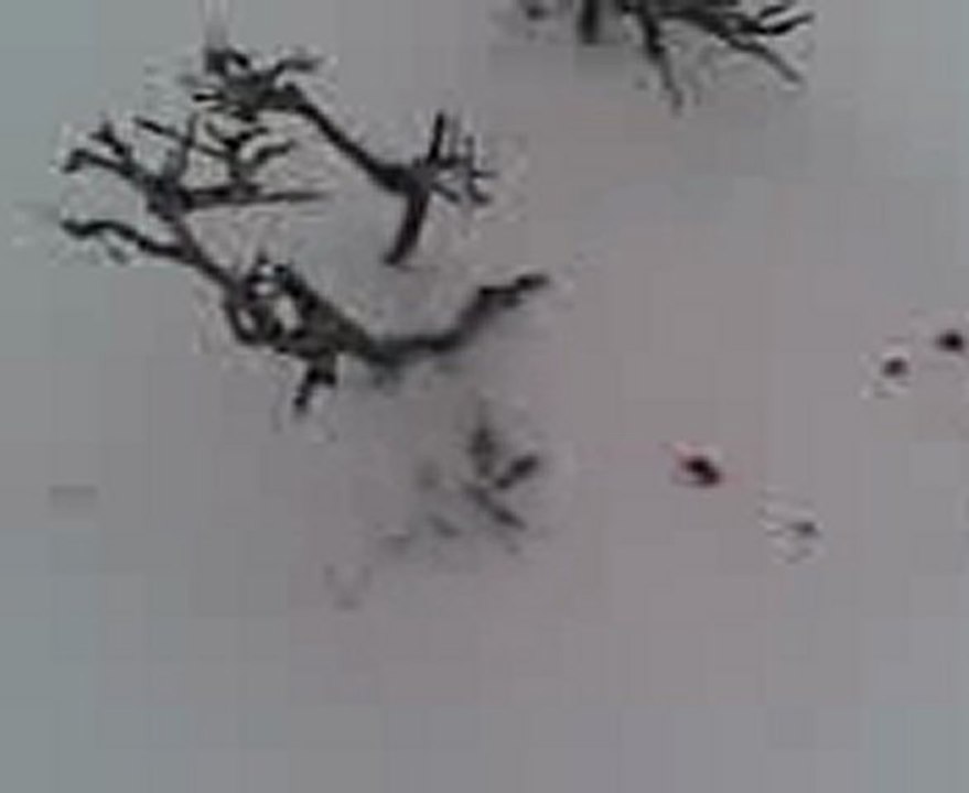 Video000