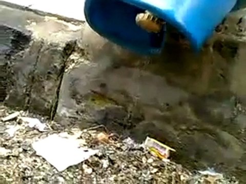 فري برس حمص باب السباع جرة غاز اصبحة جرة ماء هذه اطلاحات بشار