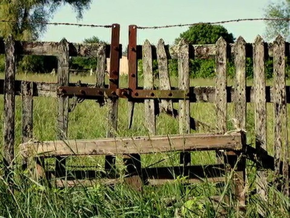 Photos de Thierry Mauvignier