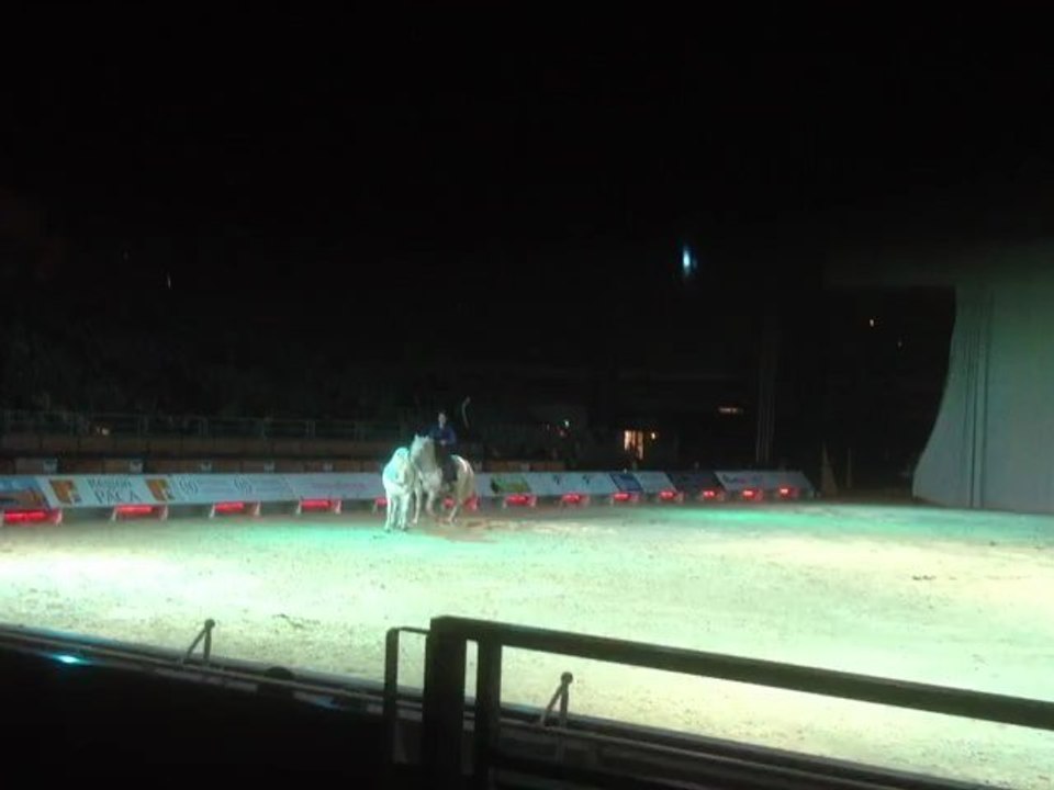 Chevaux Camargue à Cheval Passion