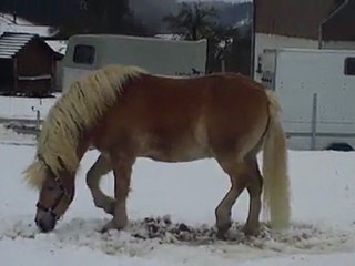 Valentin avant sa séance