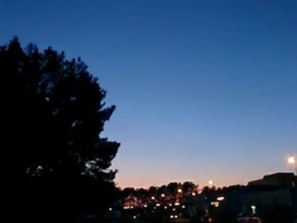 Starlings at Twilight