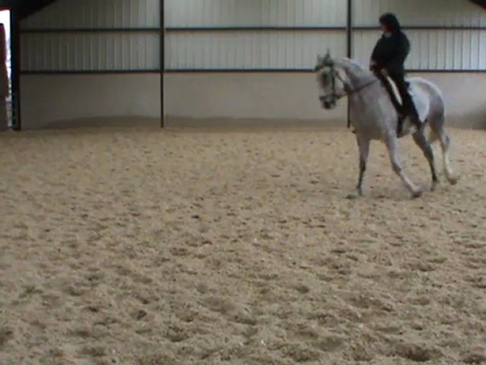hanches e dd galop droite 22.01.12