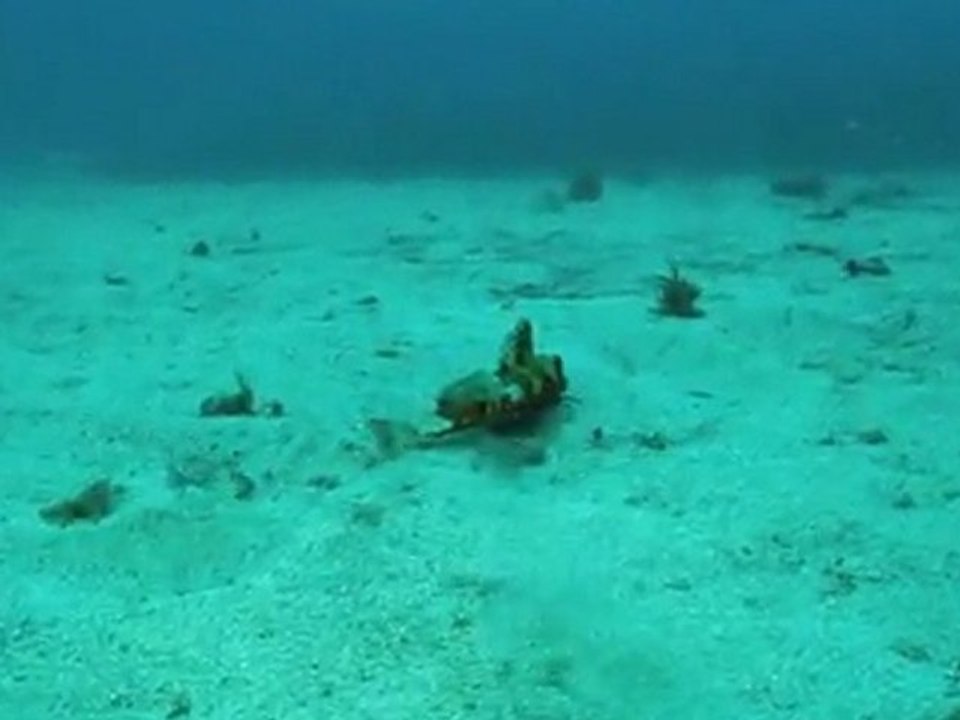 Dans le sable... près de Marseille.