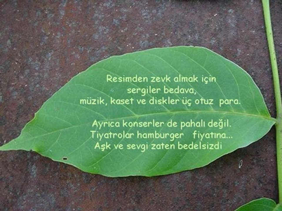 İshak Alaton'dan " insan her yaşta ceviz kırabilmeli"