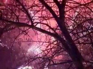 China, Japan celebrate Lunar New Year