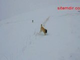 Kış-Kızak Kayan Çocuklar-Kangal Köpekleri