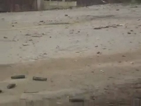 فري برس الجيش الأسدي يبدأ بالانسحاب من محيط مدينة الزبداني 18 1 2012