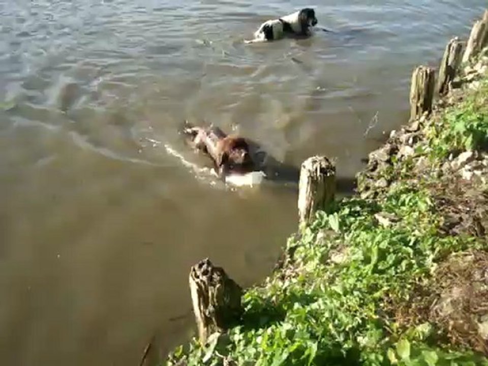 mes gros bebe d'amour 078