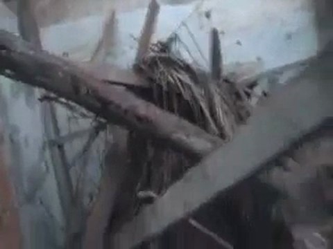 فري برس حمص باب هود تدمير منزل بلكامل جراء القصف 17 1 2012