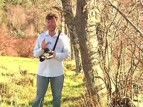 Tamron AF 28-75mm f 2.8 SP XR Di LD Aspherical (IF) for Canon Digital SLR Cameras