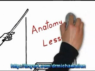 Diet that really works