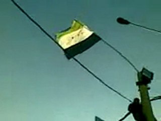 فري برس   الهامة   رفع علم الاستقلال في ساحة الحرية 20 1 2012