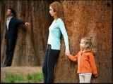 Family Law Attorney Tampa FL | 813-259-9902‎