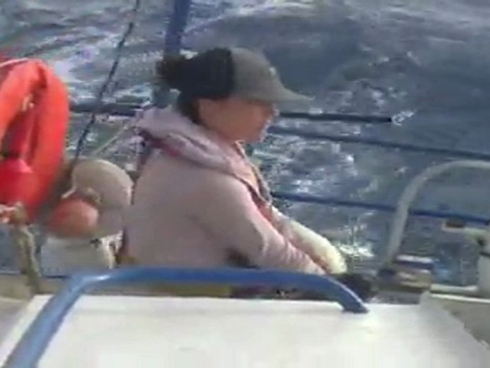 MOV061