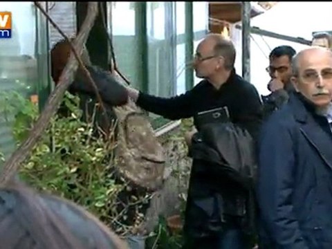 Naufrage du Costa Concordia : les familles de disparus gardent espoir