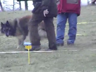 vick cavage la rosiere