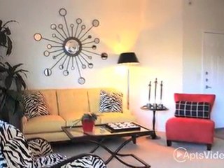 Republic Hollow Tree Apartments in Houston, TX - ForRent.com