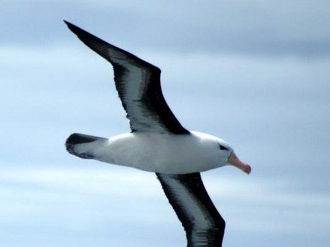 Unut gitsin-İshak konya