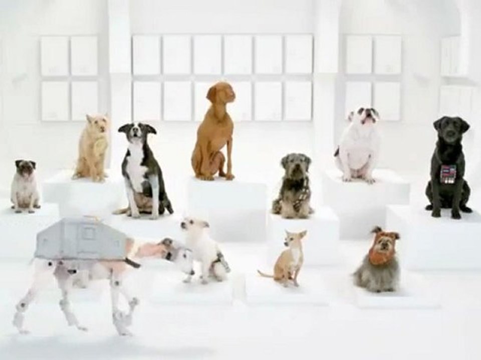 The Bark Side- Dogs bark Star Wars Theme Song