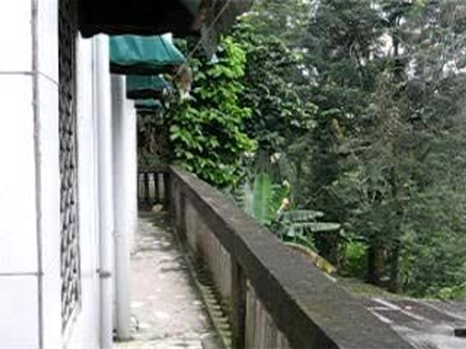 MVI_0739