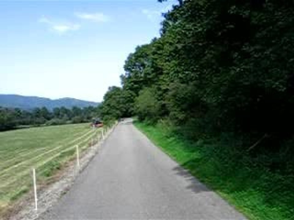 Video_munster