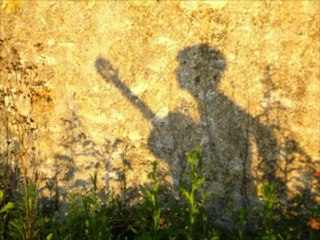 Francart et les moutons